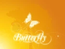 butterfly-home nursery