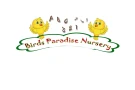 birds paradise nursery birds paradise nursery