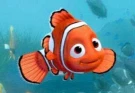 نيمو كيدز نيمو كيدز