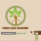 peace academy peace academy