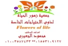 جمعية زهور الحياة للفئات الخاصة جمعية زهور الحياة للفئات الخاصة